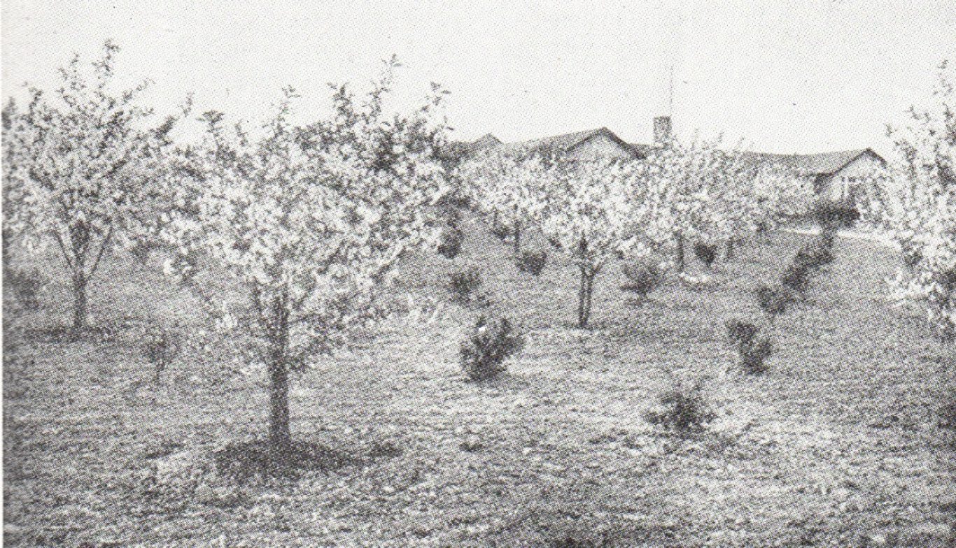 Obstanlage @Heimatkalender 1938